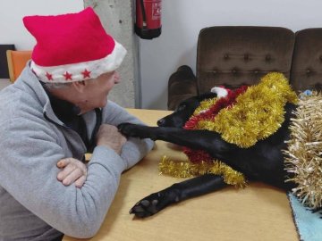 Visitas que alegram os nossos dias... 